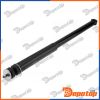 Amortisseur de suspension arrière pour FIAT | A-FT-048, 317136